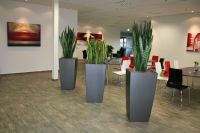 Nr.991 gro�e gemalte Bilder f�r Kantinen, Firmen, B�ros, Empfang