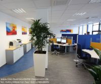 Nr 1 Callcenterm�bel Frankfurt B�ropflanze Hydrokultur wei�