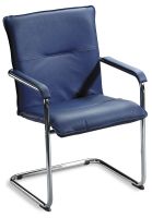 Freischwinger, schwarz, Leder, Armlehnen, chrom, schnell, blau