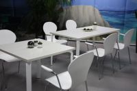 Nr 8 Mehrzweckst�hle weisse St�hle