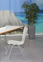 Nr 30 Mehrzweckst�hle, weisse St�hle mit und ohne Armlehne