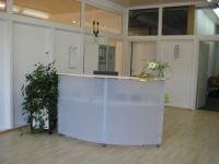 Nr 15 moderne_Theken_Empfangstheke aus satiniertem Glas