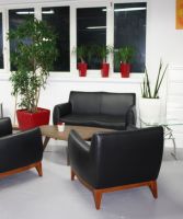 Nr. 7a Loungesessel 2er und 2 Sessel