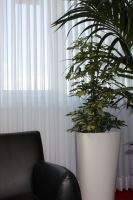 Nr 04a Gardinenlamellen/ B�rolamellen, Sicht-/Sonnenschutz