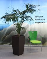 Feng Shui B�rosysteme Nr.P.1 Pflanzen / Pflanzsysteme
