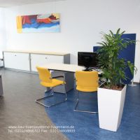 Feng Shui B�rosysteme Nr.P.3 Pflanzen / Pflanzsysteme