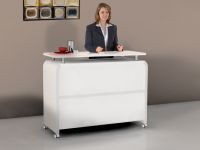 Schnelle Lieferung Nr.9 - Theke Catering K�hlkombination