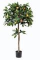 Orangen-Baum. 120cm