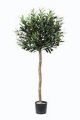 Oliven-Kugel-Baum. 120cm