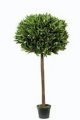 Lorbeer-Kugel-Baum. getopft. 120cm