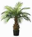 Cycas-Palme. getopft. 85cm