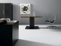 Besprechungstisch zebrano wenge Konferenztisch Meeting Desk